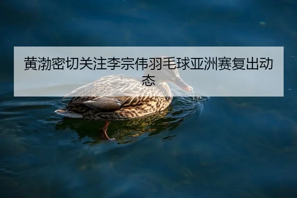 黄渤密切关注李宗伟羽毛球亚洲赛复出动态